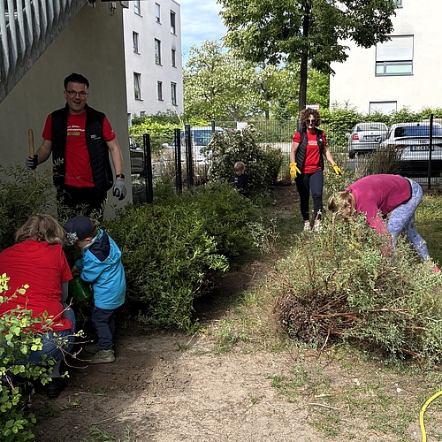 Mehrere Erwachsene und Kinder arbeiten gemeinsam im Kita-Garten. Ein kleines Kind gießt einen Busch, während Erwachsene Sträucher schneiden und Grünschnitt zusammenharken. Alle tragen Gartenhandschuhe, einige haben rote Audi-Shirts an. Im Hintergrund geparkte Autos und ein Wohnhaus. Die Szene zeigt engagierte Teamarbeit beim Audi Social Day.