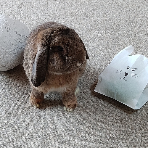 Hase mit Ei 